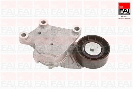 Tensioner Lever, V-ribbed belt (T1050)