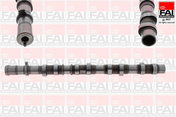 Camshaft (C372)