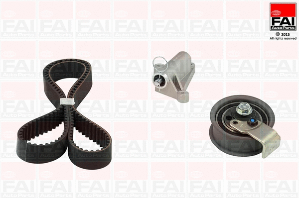 Timing Belt Kit (TBK365)
