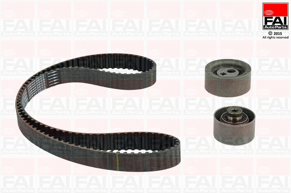 Timing Belt Kit (TBK317)