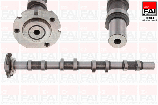 Camshaft (C251)