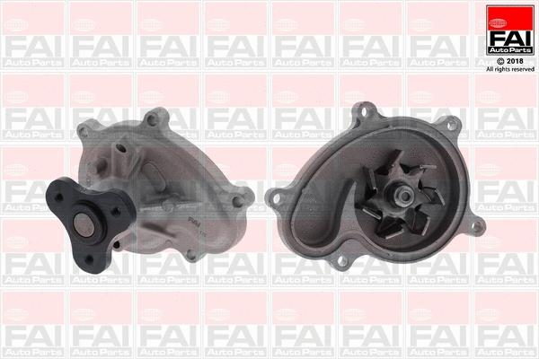 Water Pump, engine cooling (WP6667)