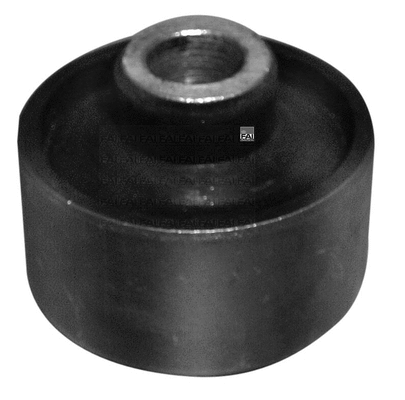 Mounting, control/trailing arm (SS5946)