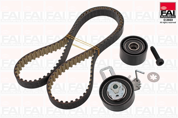 Timing Belt Kit (TBK557)