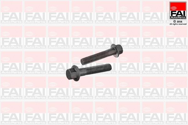 Fastening Bolt, control arm (SS9254BK)