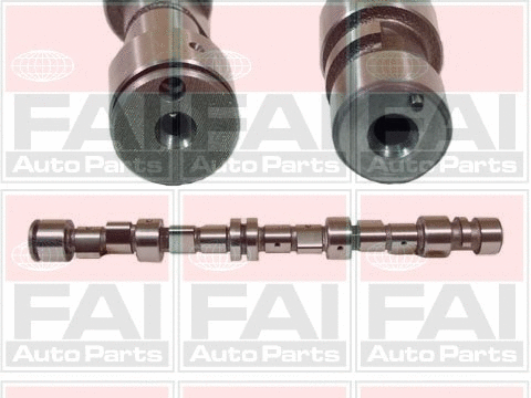 Camshaft (C243)