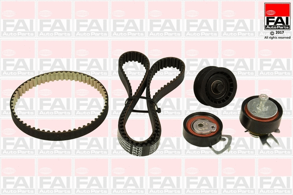 Timing Belt Kit (TBK510)