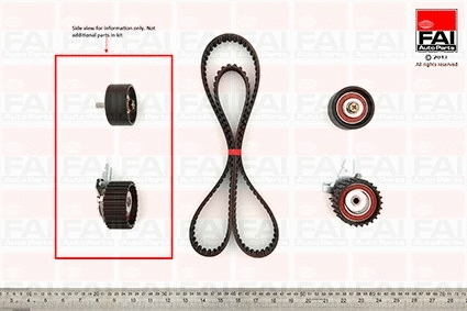 Timing Belt Kit (TBK174)