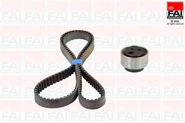 Timing Belt Kit (TBK185)