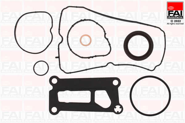Gasket Kit, crankcase (CS1638)