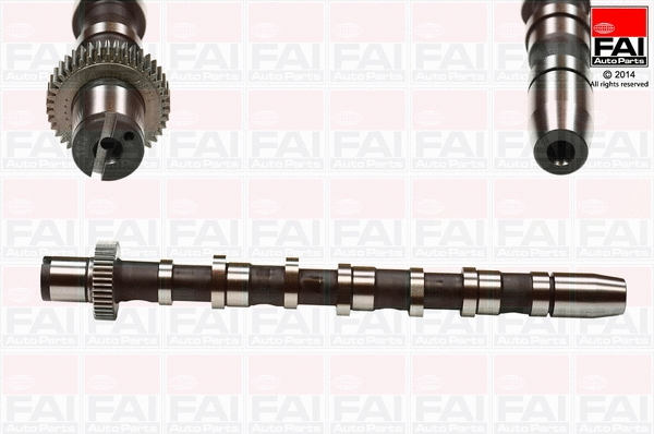 Camshaft (C276)