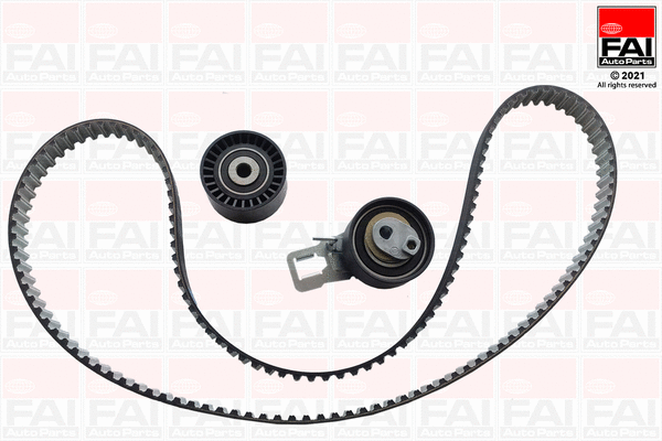 Timing Belt Kit (TBK554)