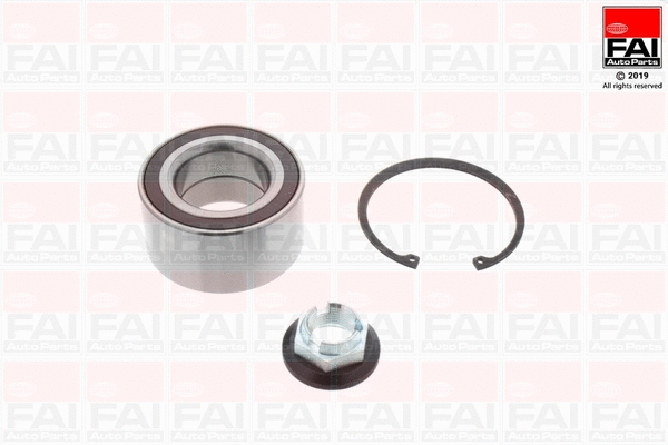 Wheel Bearing Kit (FWBK1110)