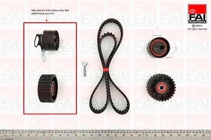 Timing Belt Kit (TBK125)