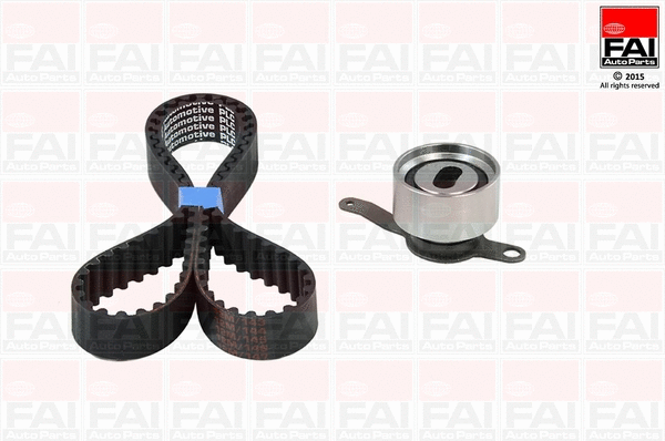 Timing Belt Kit (TBK256)