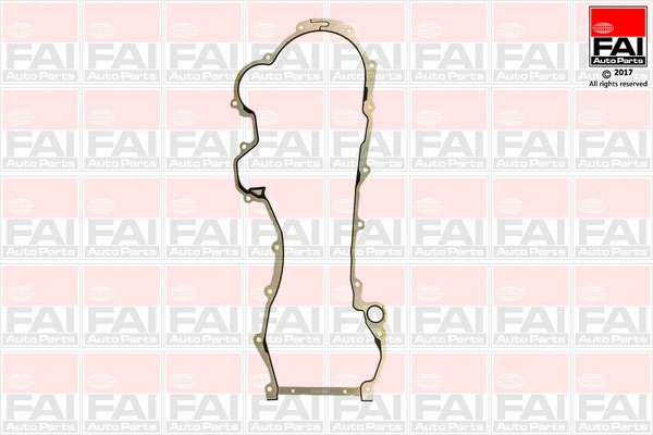 Gasket, timing case (TC1321)