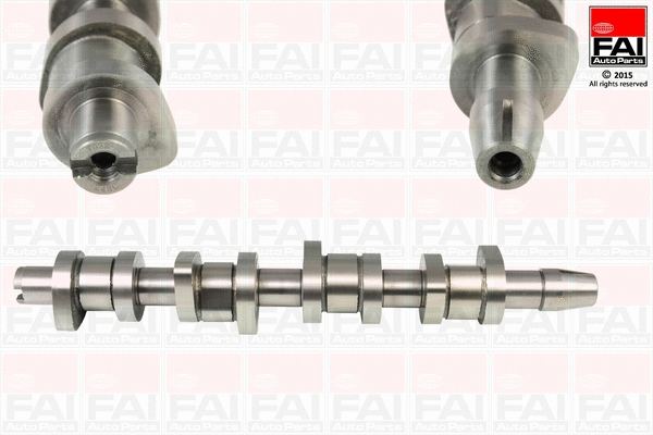 Camshaft (C248C)