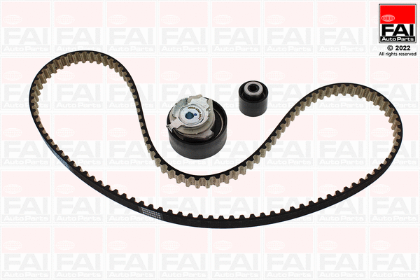 Timing Belt Kit (TBK566)