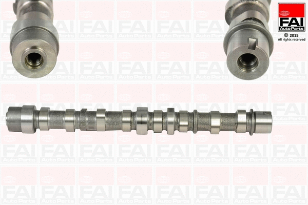 Camshaft (C255)