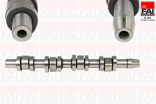 Camshaft (C335)