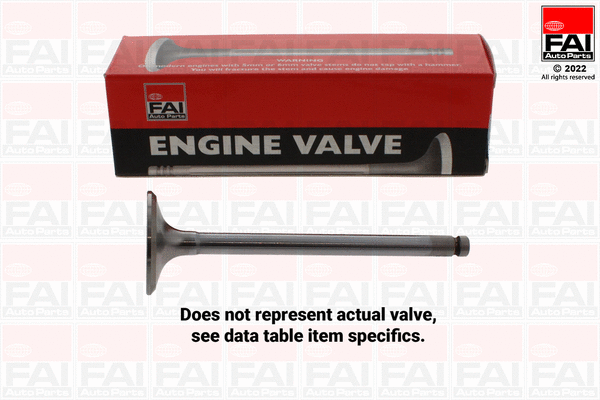 Intake Valve (IV94644)