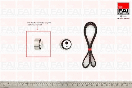 Timing Belt Kit (TBK08)