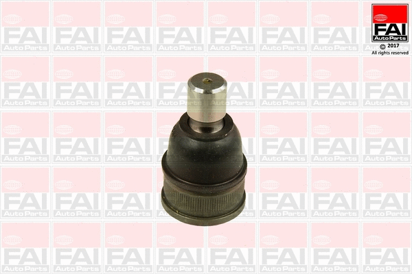 Ball Joint (SS8853)