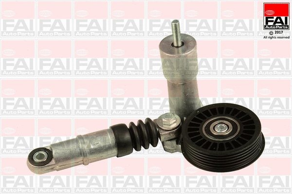 Tensioner Pulley, V-ribbed belt (T1006)
