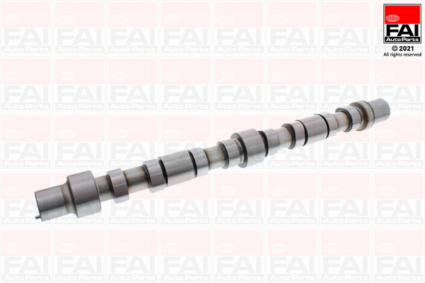 Camshaft (C383)