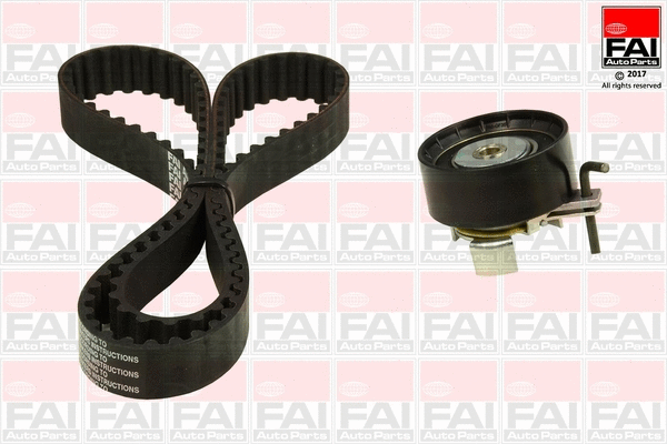 Timing Belt Kit (TBK549)
