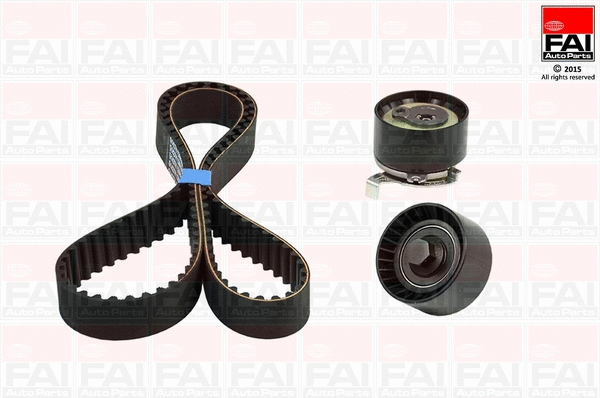 Timing Belt Kit (TBK297)