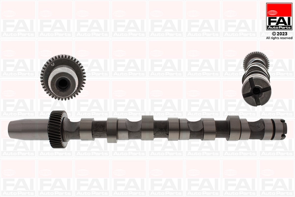 Camshaft (C245)
