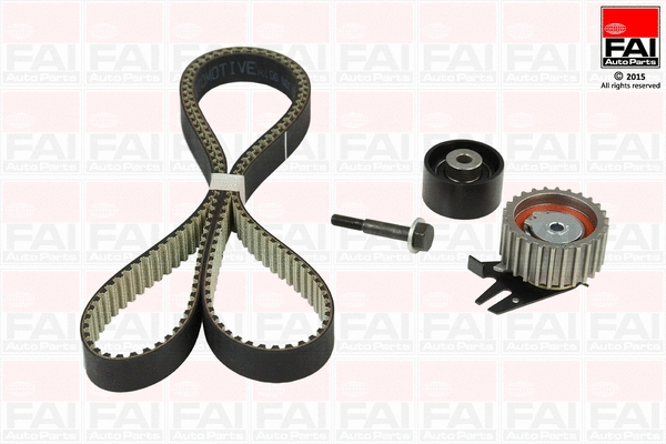 Timing Belt Kit (TBK535)