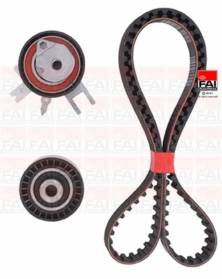 Timing Belt Kit (TBK246)