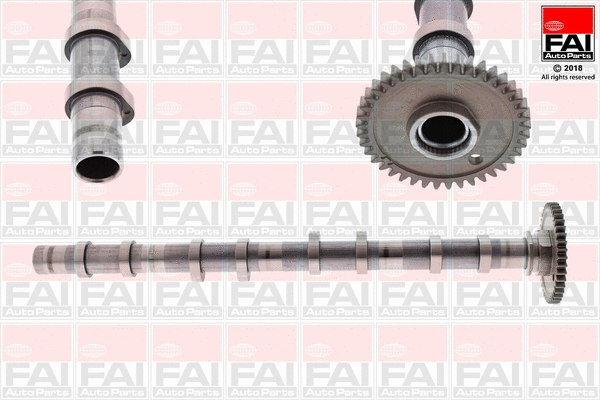Camshaft (C393)