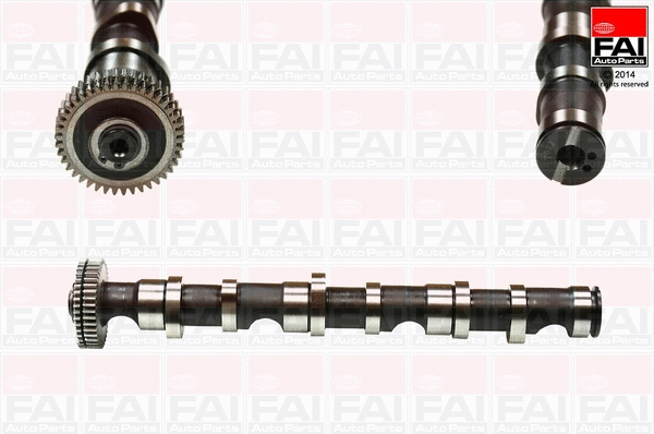 Camshaft (C277)