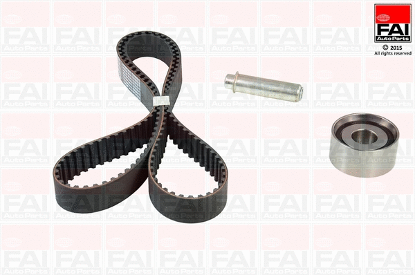 Timing Belt Kit (TBK520)