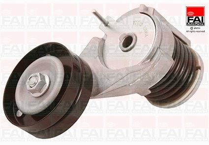 Tensioner Lever, V-ribbed belt (T1012)