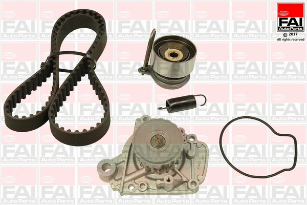 Water Pump & Timing Belt Kit (TBK503-6270)