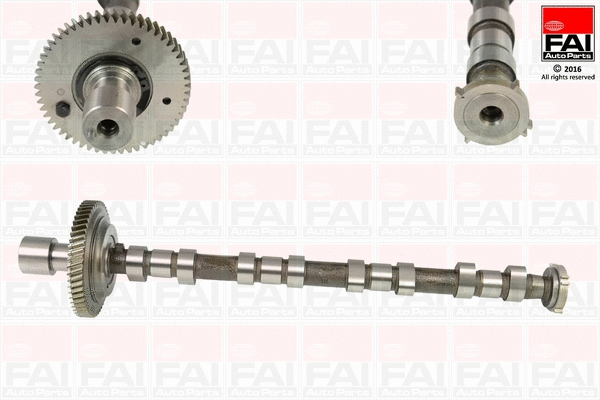 Camshaft (C310)