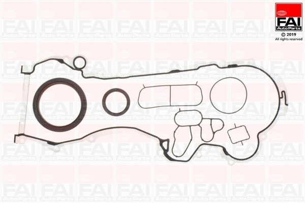 Gasket Kit, crankcase (CS1618)