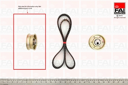 Timing Belt Kit (TBK211)