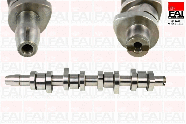 Camshaft (C248)
