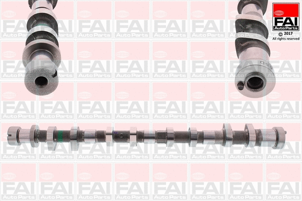 Camshaft (C400)