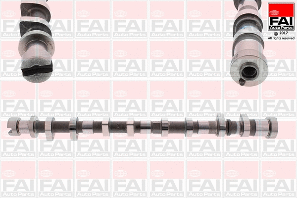 Camshaft (C401)