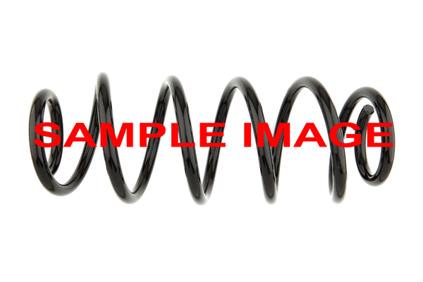 Suspension Spring (SP321)