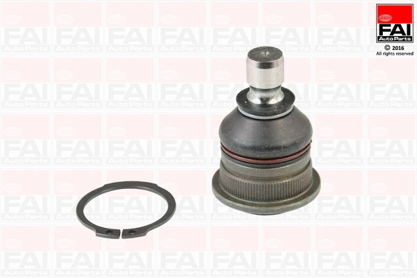 Ball Joint (SS5821)