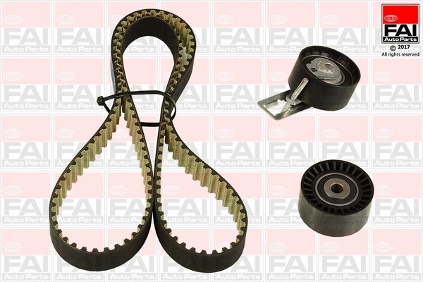 Timing Belt Kit (TBK544)