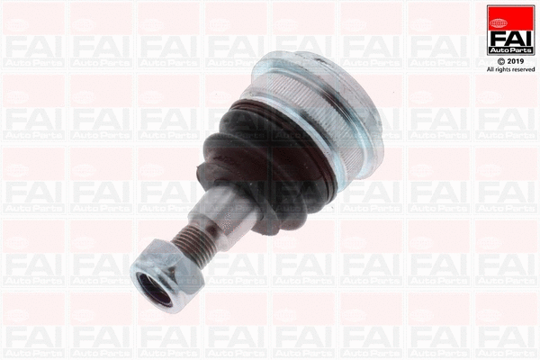 Ball Joint (SS10129)