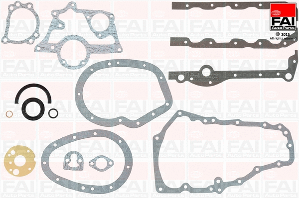 Gasket Kit, crankcase (CS122)